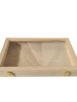 Two-Clasps clear lid wooden display box