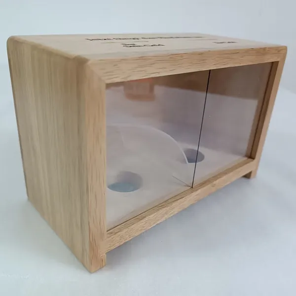 Natural Wood Funny Money Box