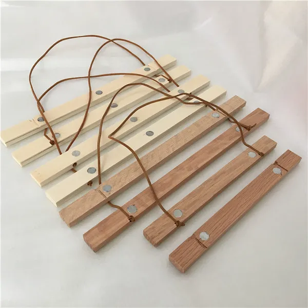 Magnetic poster hanger with hanging rope